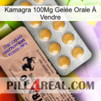 Kamagra 100Mg Gelée Orale À Vendre 41